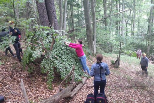 Conceptul XMT cu Teamplus